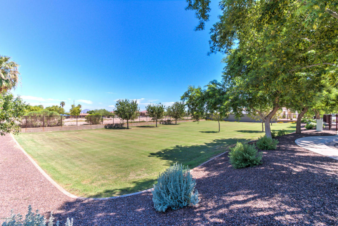 2824 E Harwell Rd, Phoenix, AZ 85042 photo 78