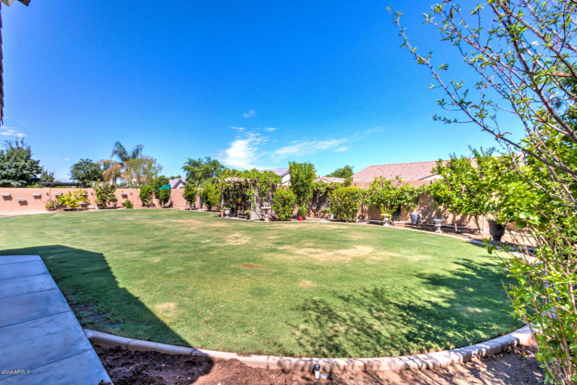 2824 E Harwell Rd, Phoenix, AZ 85042 photo 61