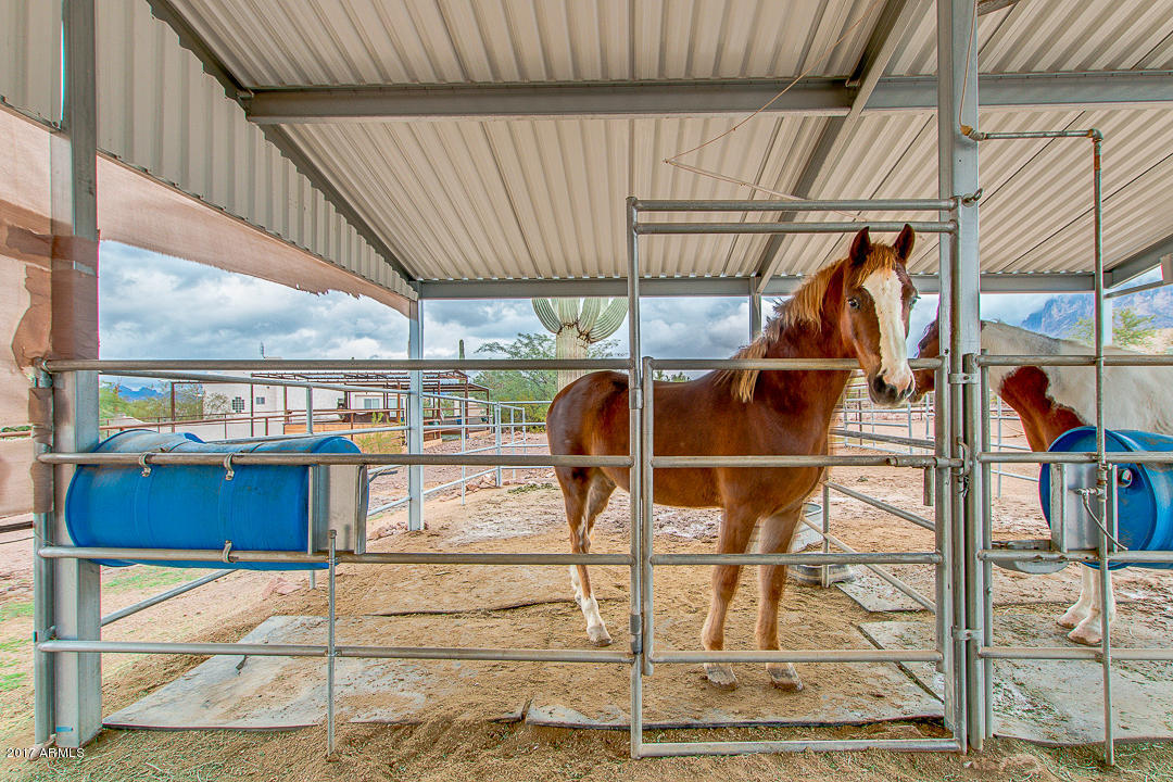 70 N Geronimo Rd, Apache Junction, AZ 85119 photo 50