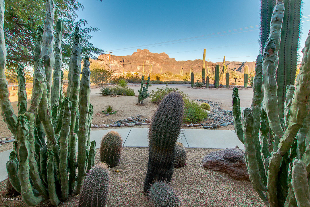70 N Geronimo Rd, Apache Junction, AZ 85119 photo 9