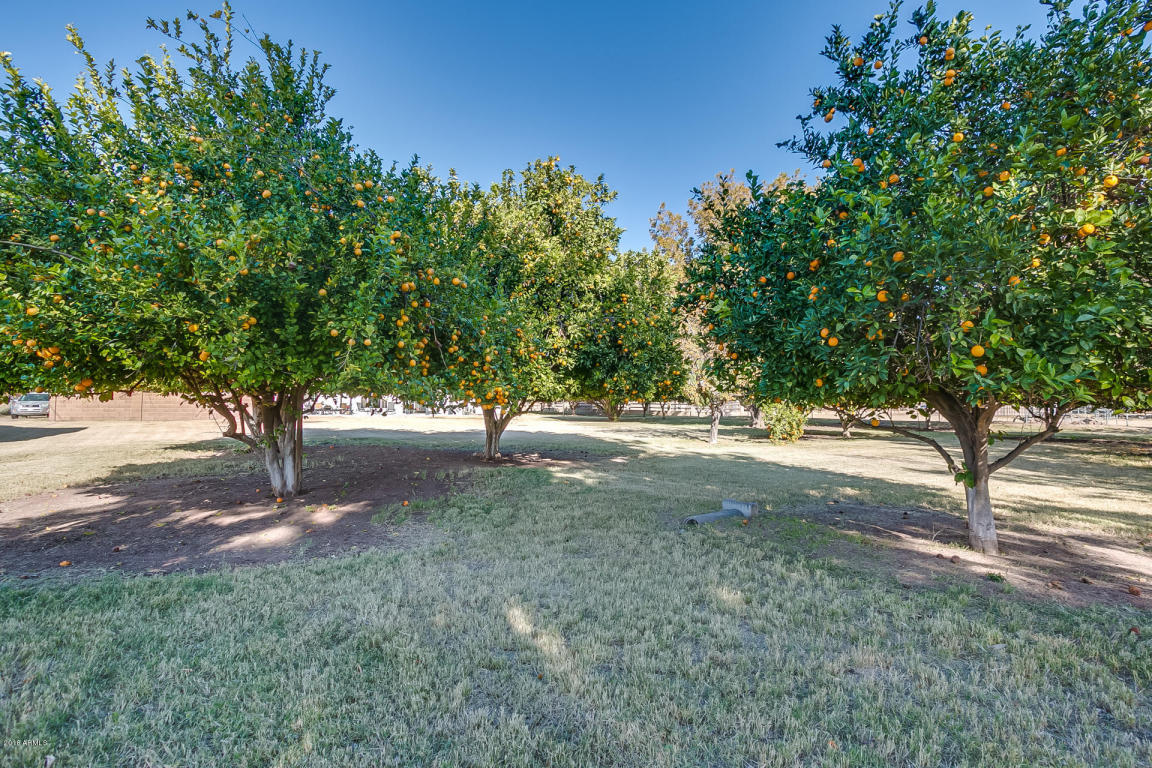 13901 E Morgan Dr, Gilbert, AZ 85295 photo 59