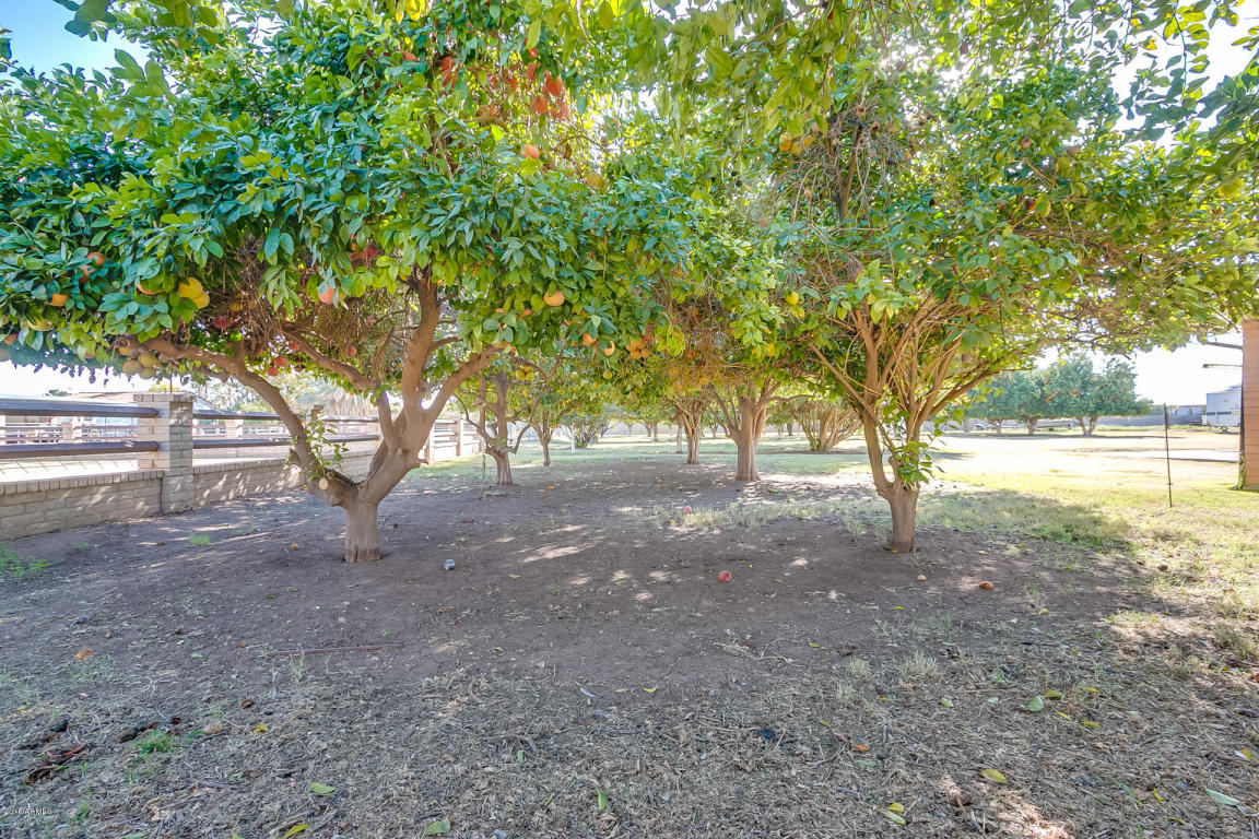 13901 E Morgan Dr, Gilbert, AZ 85295 photo 53