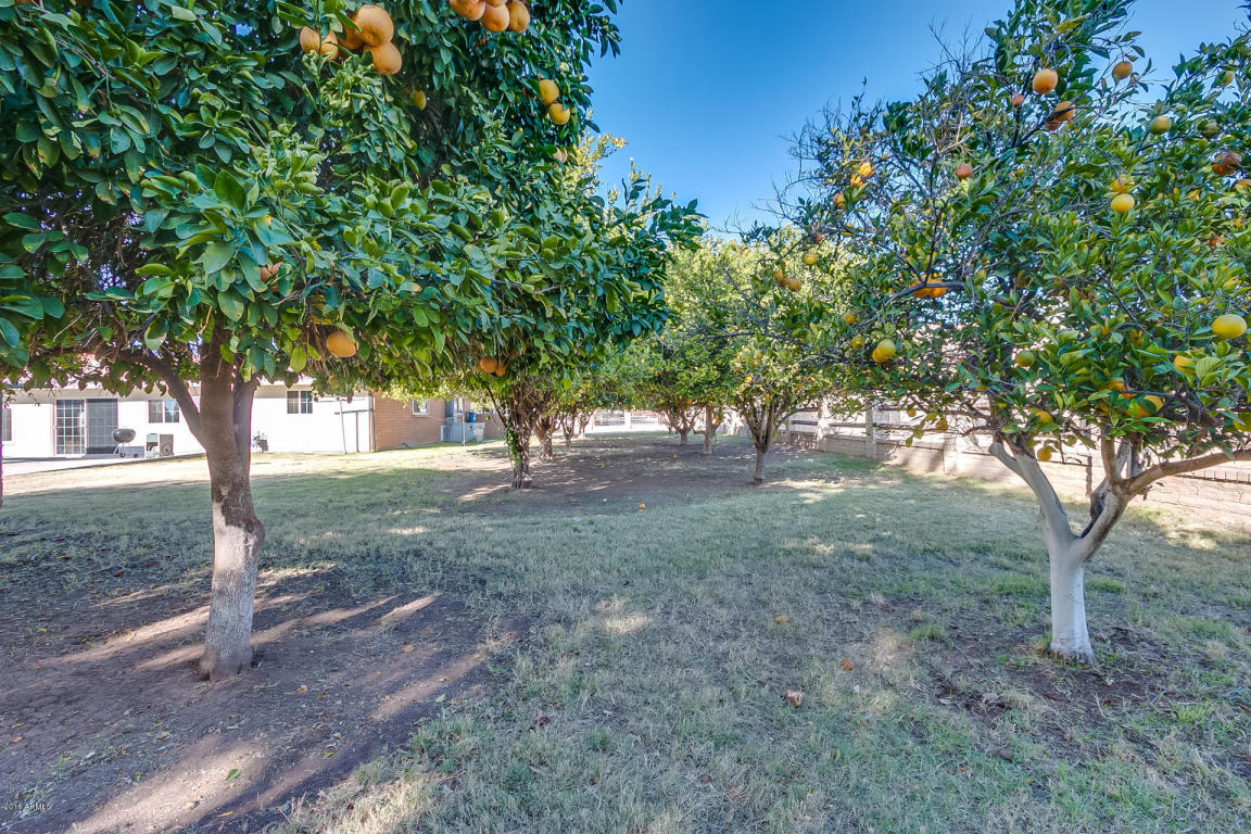 13901 E Morgan Dr, Gilbert, AZ 85295 photo 55