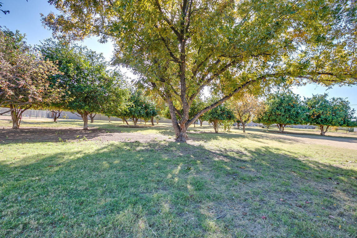13901 E Morgan Dr, Gilbert, AZ 85295 photo 54