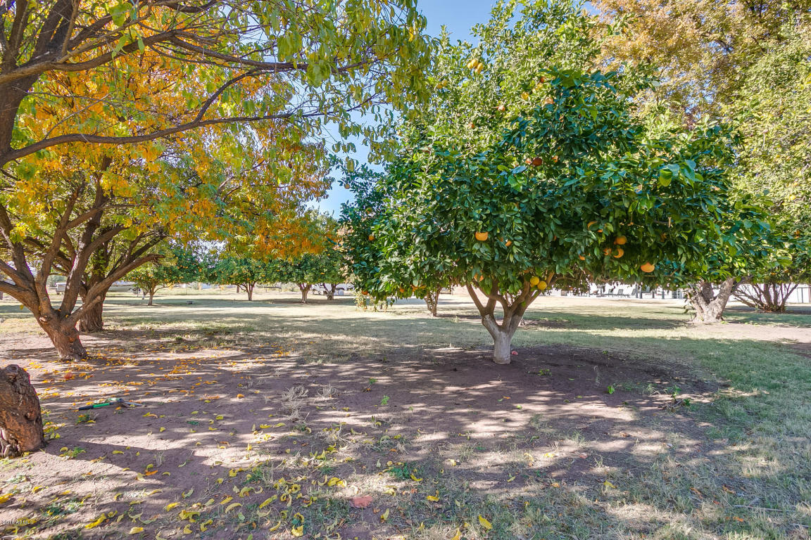 13901 E Morgan Dr, Gilbert, AZ 85295 photo 57