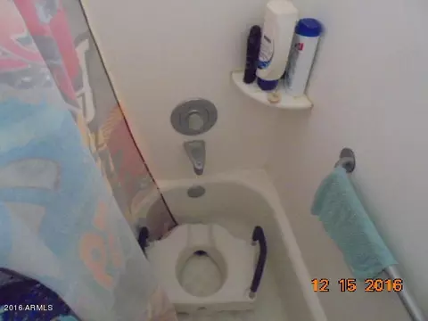 1855 N Spring St, Mesa, AZ 85203 photo 78