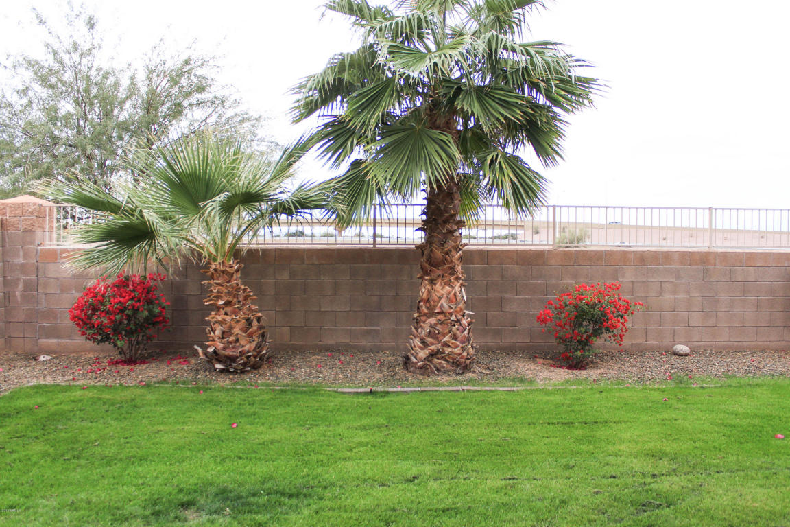 3717 E Potter Dr, Phoenix, AZ 85050 photo 47