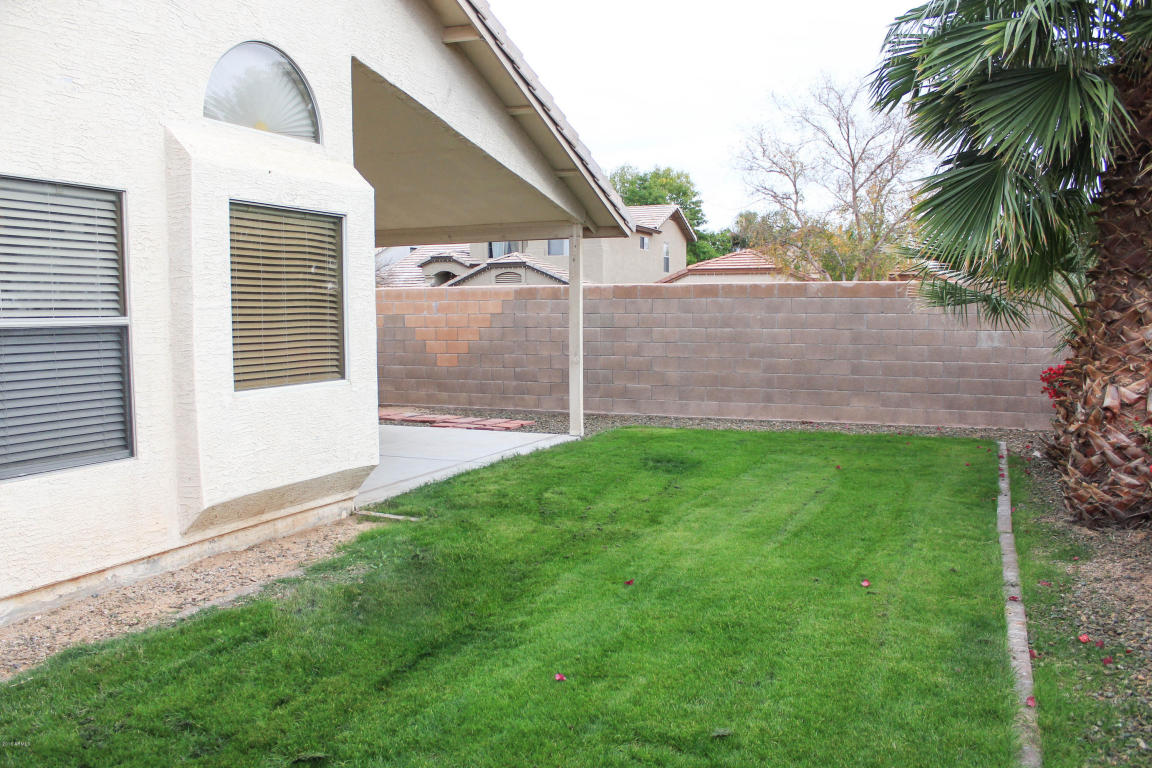 3717 E Potter Dr, Phoenix, AZ 85050 photo 43