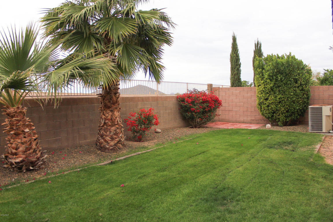 3717 E Potter Dr, Phoenix, AZ 85050 photo 45
