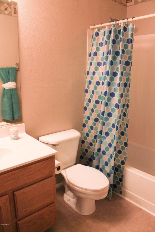 3717 E Potter Dr, Phoenix, AZ 85050 photo 25