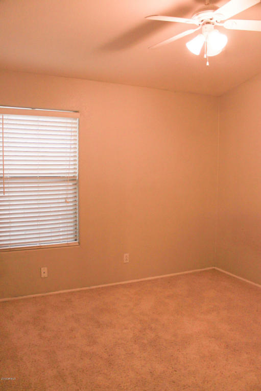 3717 E Potter Dr, Phoenix, AZ 85050 photo 24