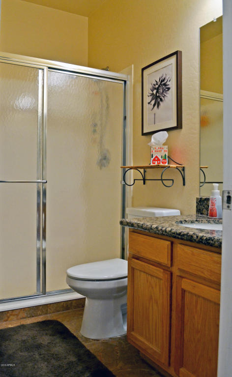 11018 E Dover St, Mesa, AZ 85207 photo 43
