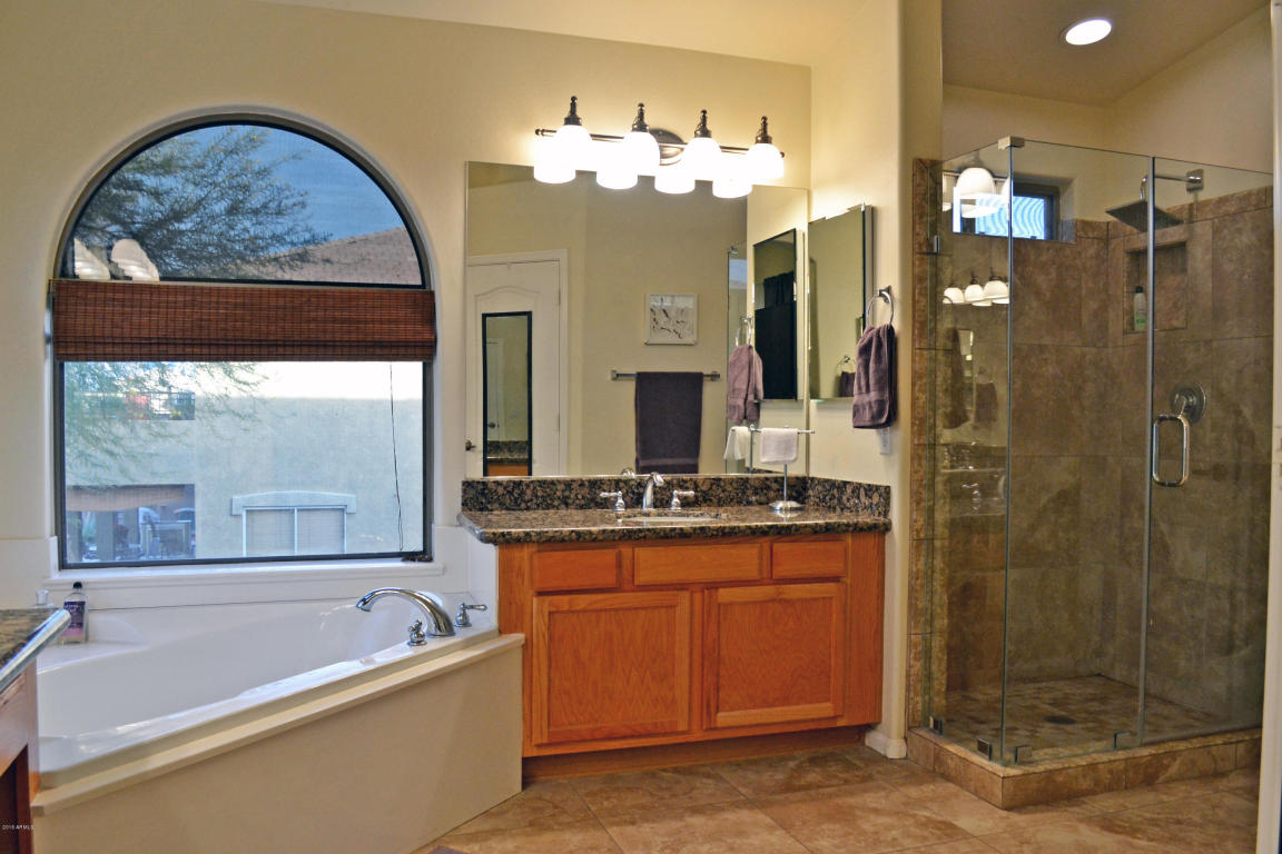 11018 E Dover St, Mesa, AZ 85207 photo 22