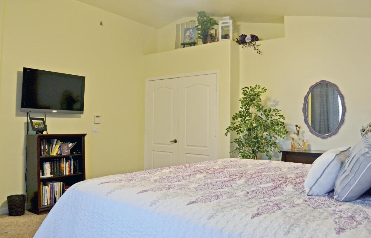 11018 E Dover St, Mesa, AZ 85207 photo 19