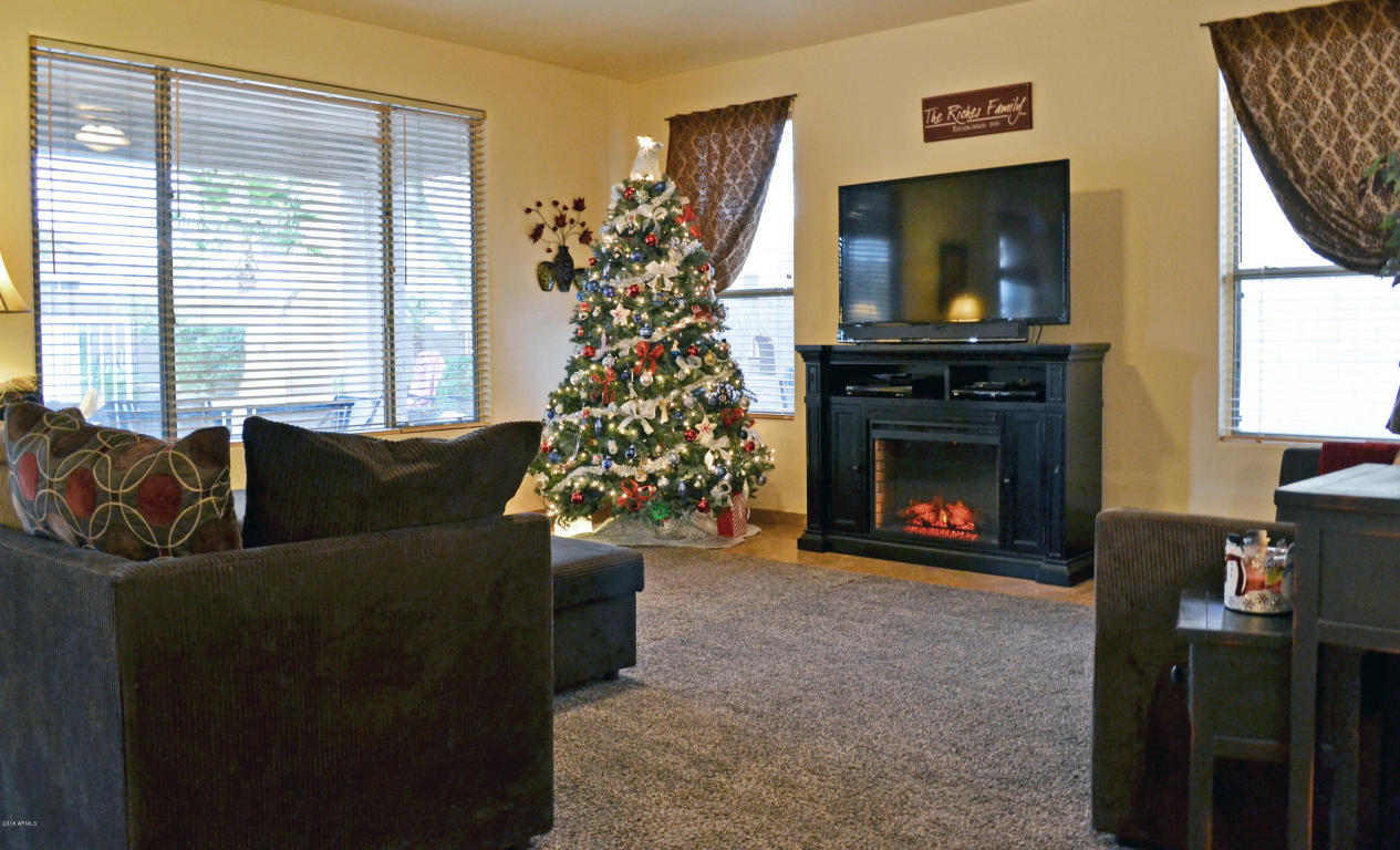 11018 E Dover St, Mesa, AZ 85207 photo 15