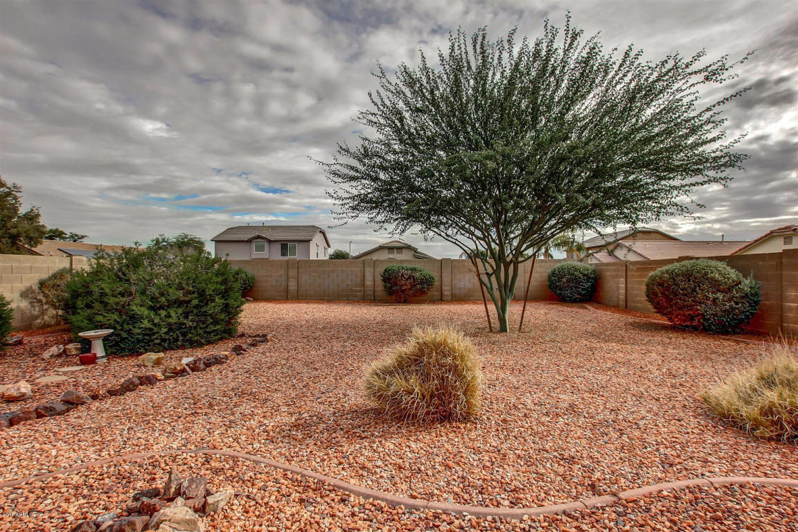 11027 N 154th Ln, Surprise, AZ 85379 photo 27