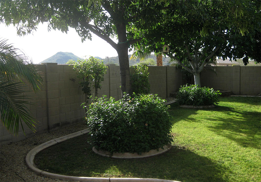 3941 W Range Mule Dr, Phoenix, AZ 85083 photo 17