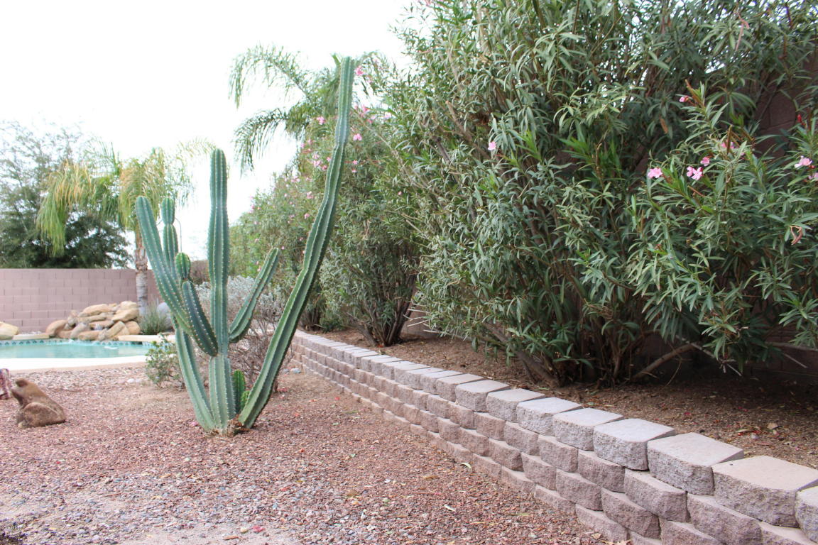 10202 E Capri Ave, Mesa, AZ 85208 photo 14