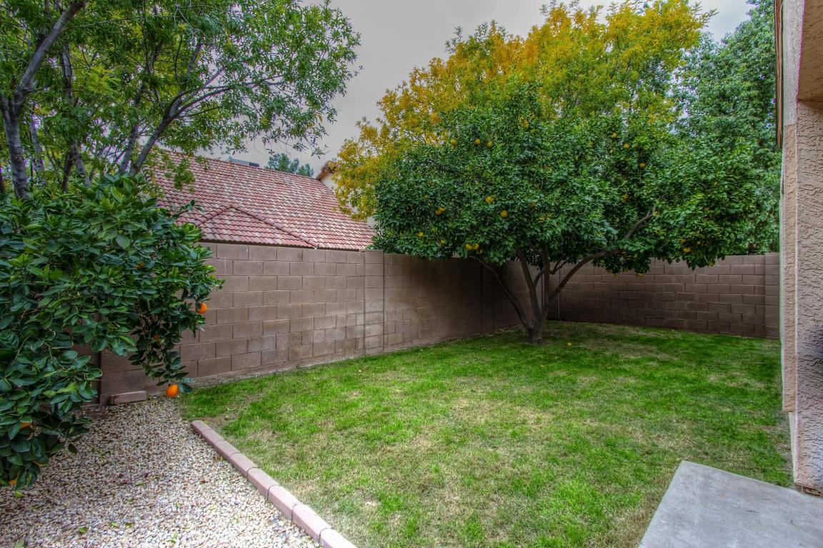 1704 S 39th St #35, Mesa, AZ 85206 photo 25