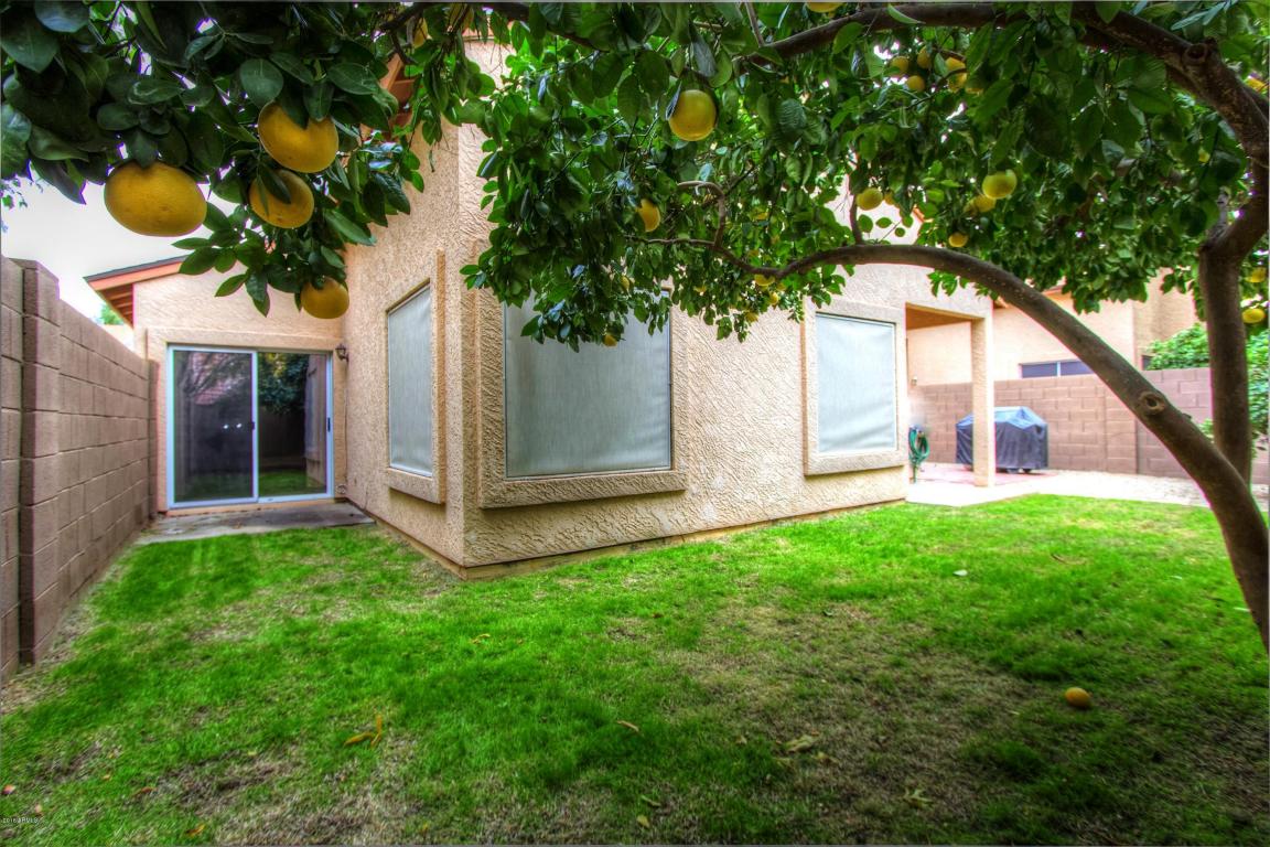 1704 S 39th St #35, Mesa, AZ 85206 photo 27