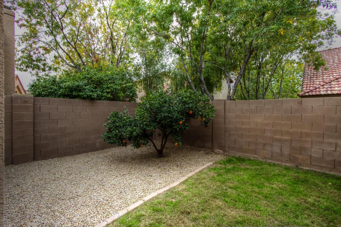 1704 S 39th St #35, Mesa, AZ 85206 photo 26