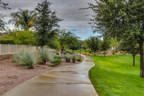 917 N Thunderbird Ave, Gilbert, AZ 85234 photo 55