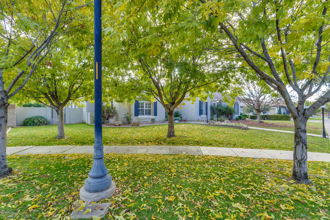 2889 E Page Ct, Gilbert, AZ 85234 photo 46