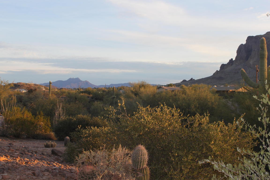 1337 N Roadrunner Rd, Apache Junction, AZ 85119 photo 57