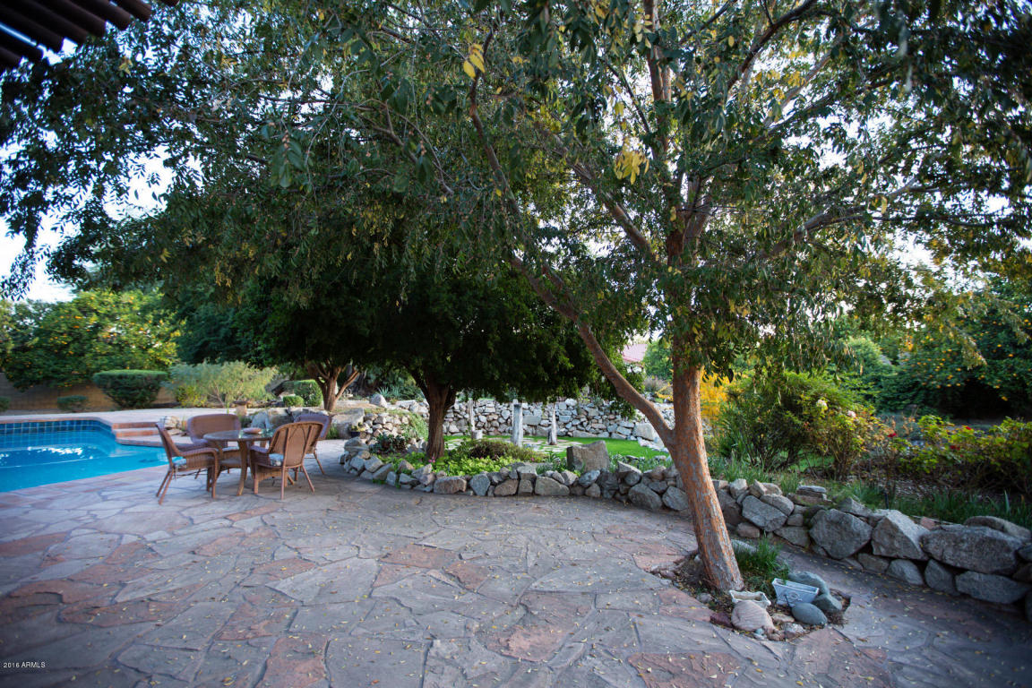 3831 E Ivy St, Mesa, AZ 85205 photo 44
