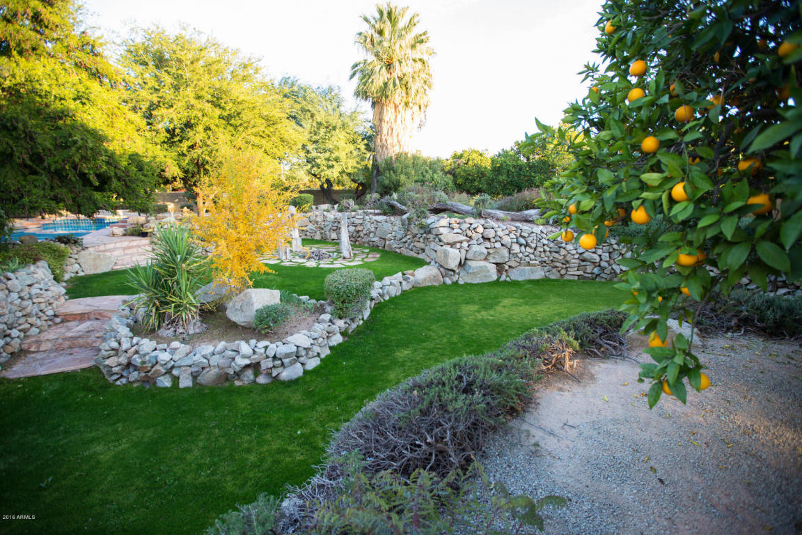 3831 E Ivy St, Mesa, AZ 85205 photo 33