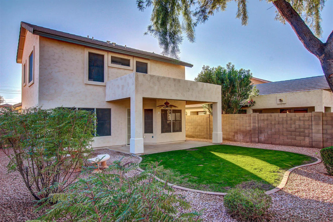 4622 E Lone Cactus Dr, Phoenix, AZ 85050 photo 5