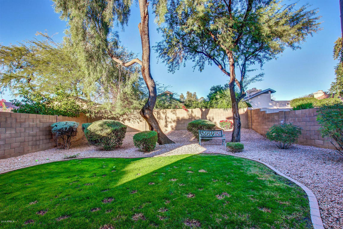 4622 E Lone Cactus Dr, Phoenix, AZ 85050 photo 7
