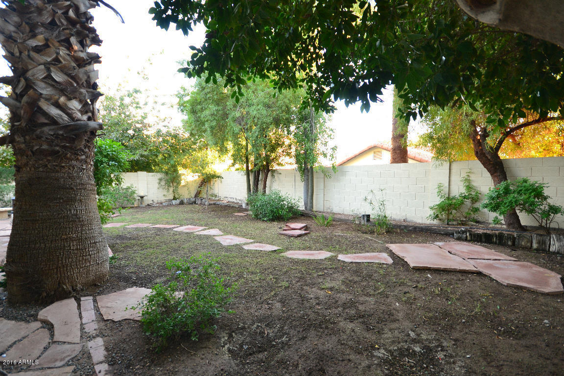 449 E Marigold Ln, Tempe, AZ 85288 photo 17