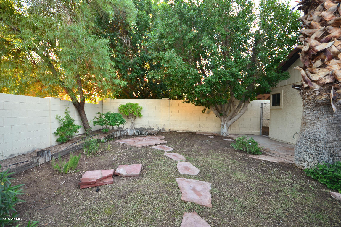 449 E Marigold Ln, Tempe, AZ 85288 photo 16