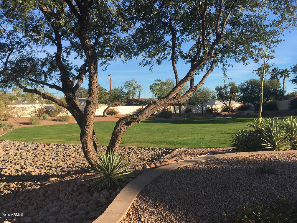 449 E Marigold Ln, Tempe, AZ 85288 photo 19
