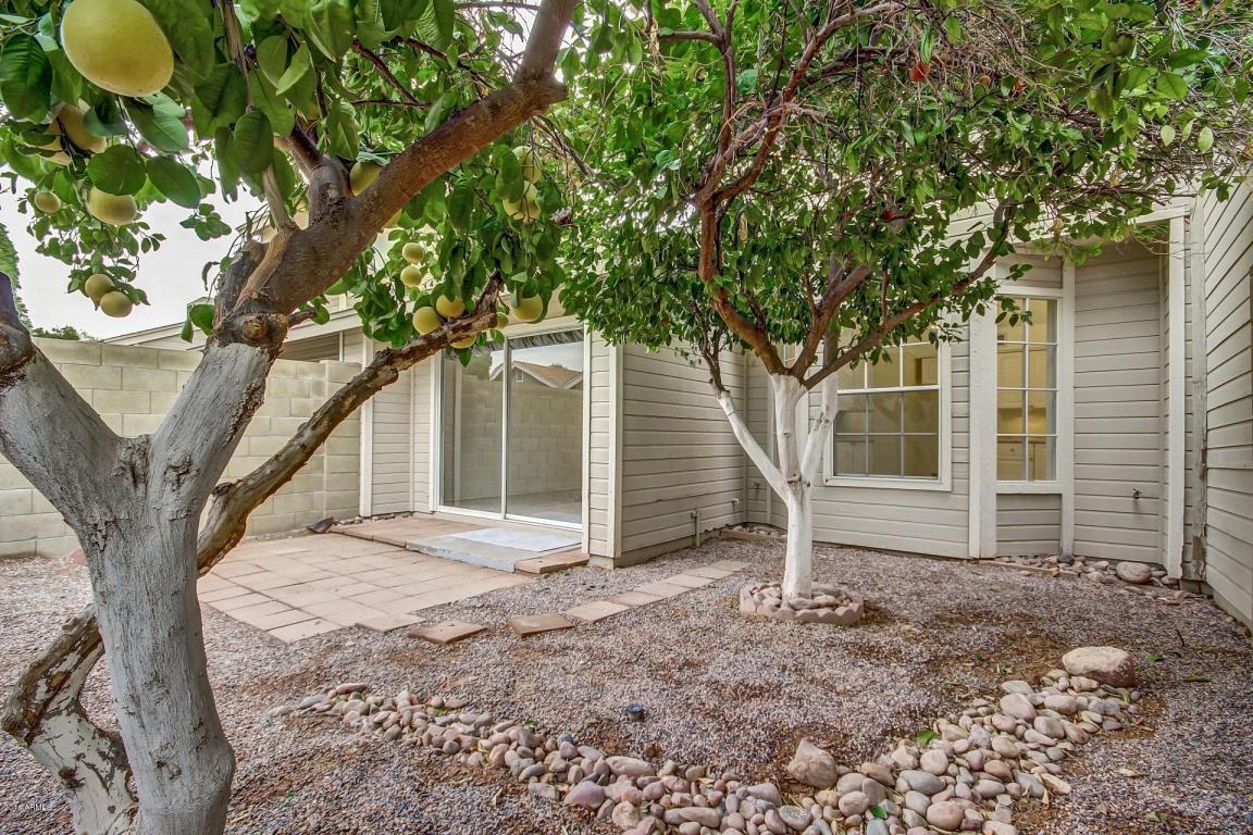 3134 E Mckellips Rd #145, Mesa, AZ 85213 photo 6