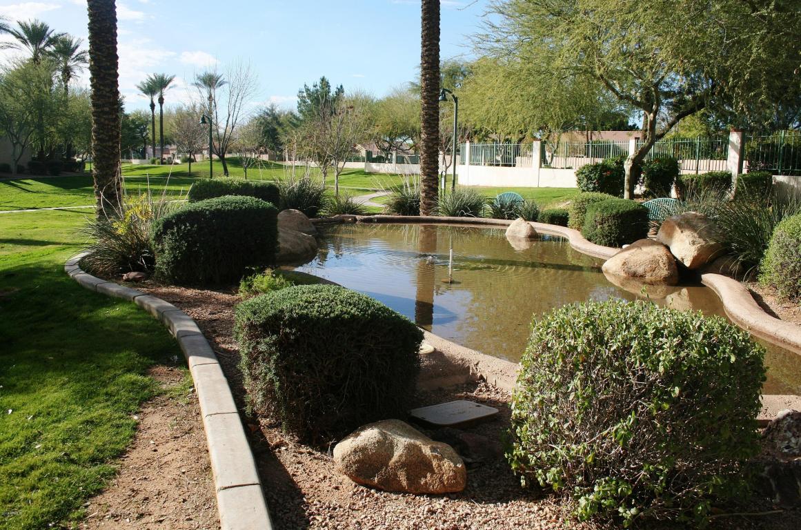 3337 E Jacinto Ave, Mesa, AZ 85204 photo 39