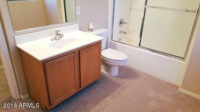 11424 E Quicksilver Ave, Mesa, AZ 85212 photo 49
