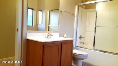 11424 E Quicksilver Ave, Mesa, AZ 85212 photo 48