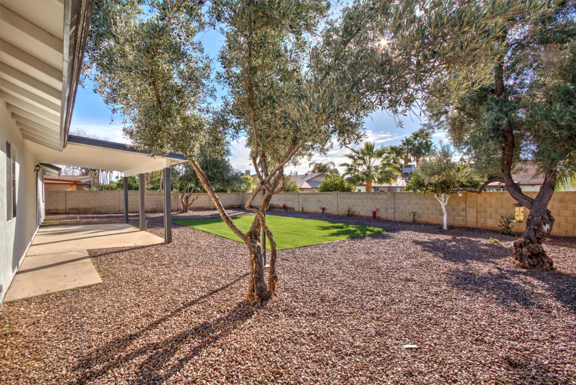 4417 E Grandview Rd, Phoenix, AZ 85032 photo 44