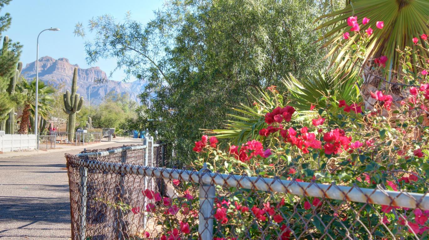 2873 W Ohio St, Apache Junction, AZ 85120 photo 34