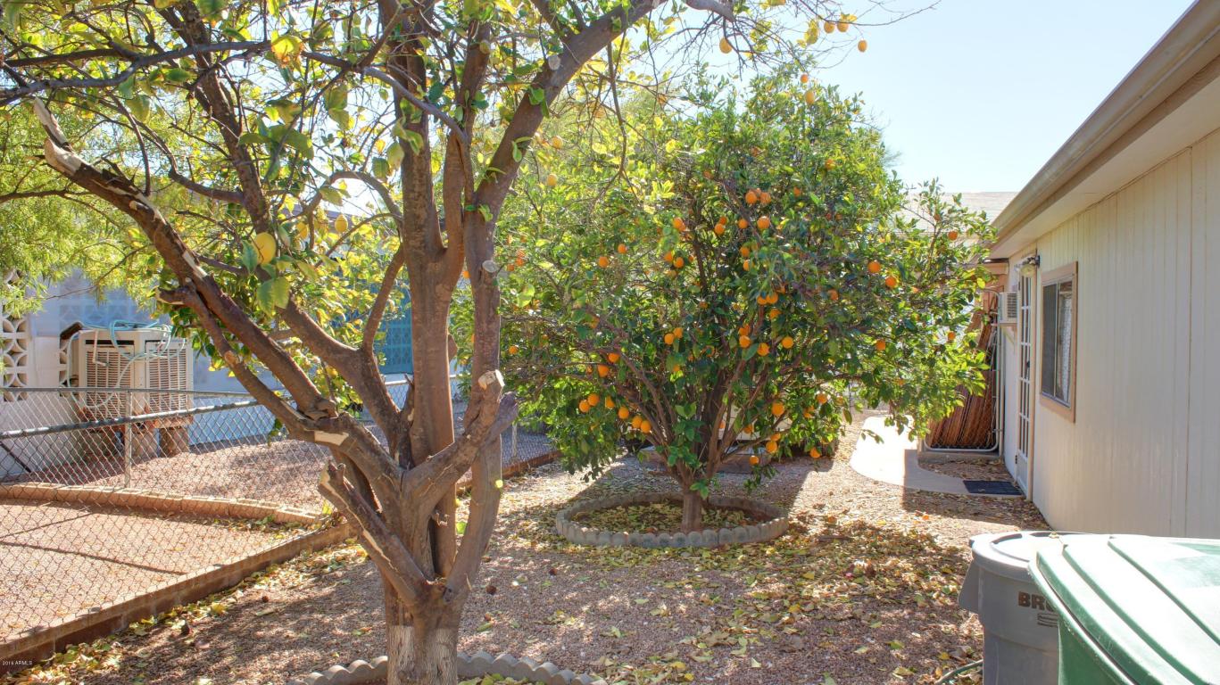 2873 W Ohio St, Apache Junction, AZ 85120 photo 12