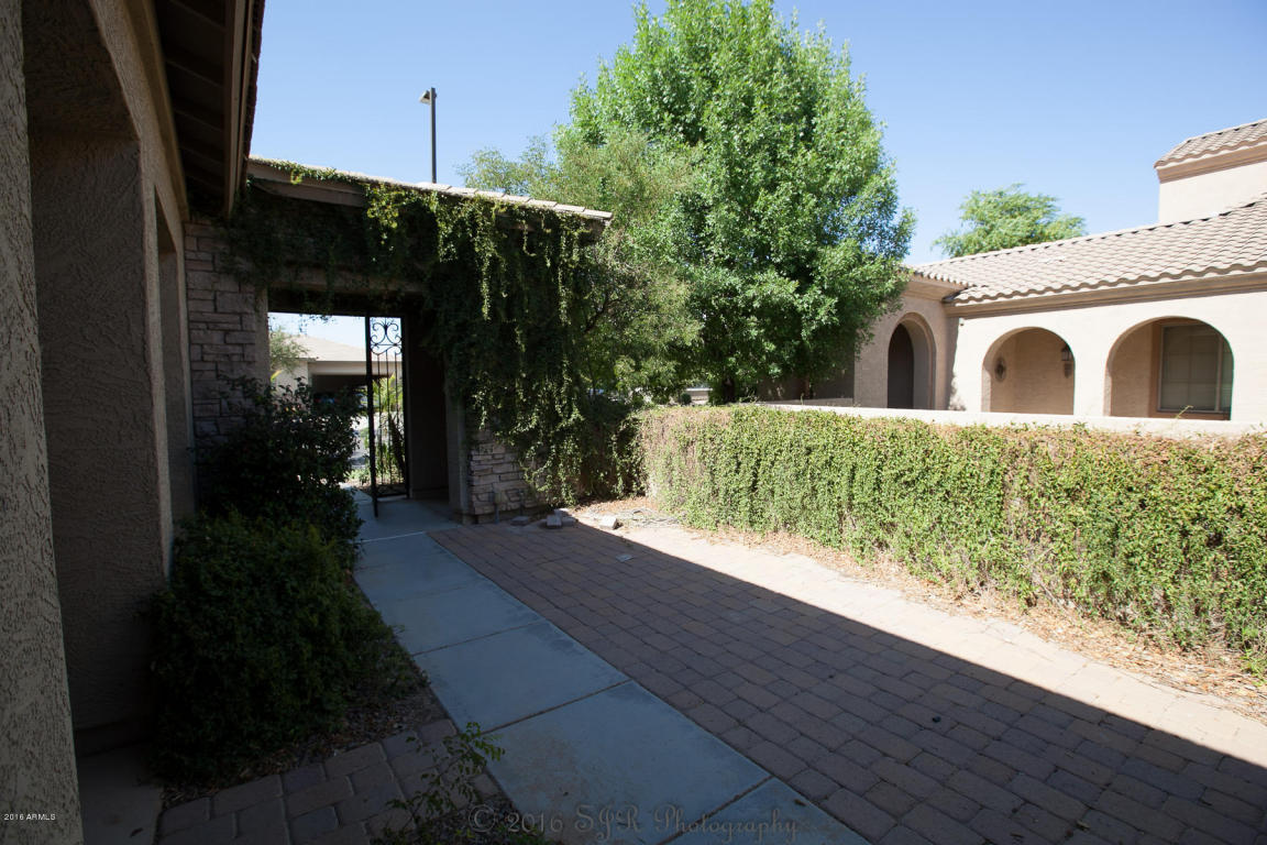 3117 E Coconino Dr, Gilbert, AZ 85298 photo 6