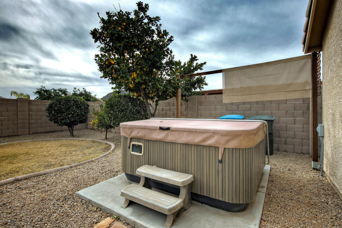 2115 E Donald Dr, Phoenix, AZ 85024 photo 21
