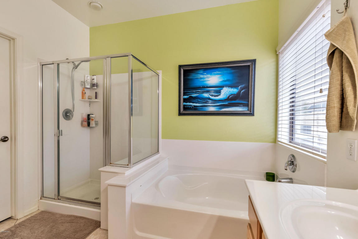 10106 E Lobo Ave, Mesa, AZ 85209 photo 17