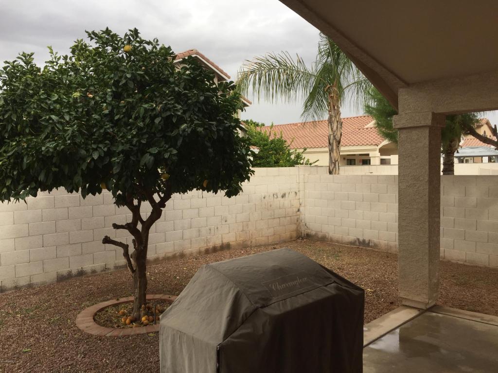 3762 E Irwin Ave, Mesa, AZ 85206 photo 20