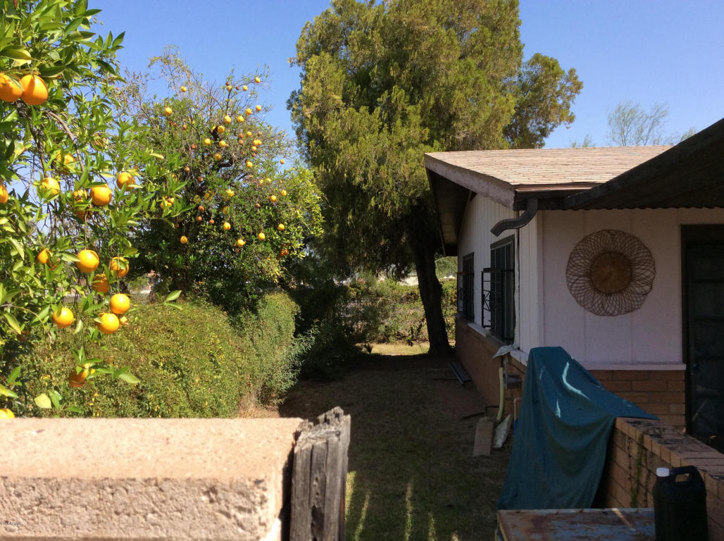 3616 E Arcadia Ave, Mesa, AZ 85206 photo 22
