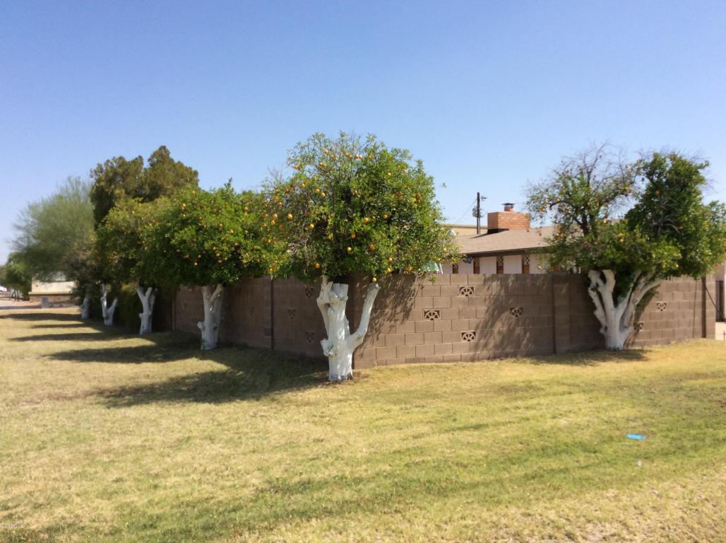 3616 E Arcadia Ave, Mesa, AZ 85206 photo 2