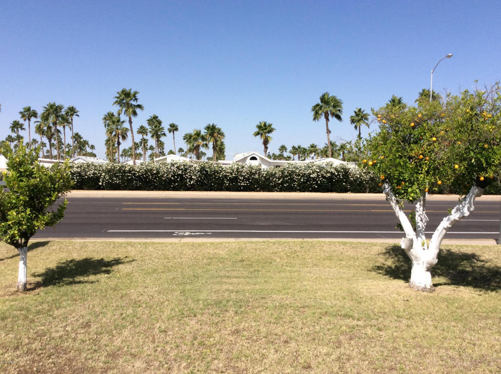 3616 E Arcadia Ave, Mesa, AZ 85206 photo 3