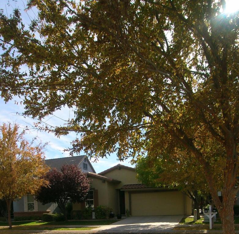 3351 E Comstock Dr, Gilbert, AZ 85296 photo 3